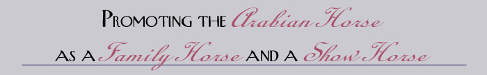 Arabian Horse Breeders and fans in the region 15 area